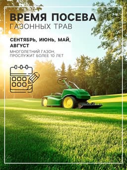 Газонная травосмесь Абсолют Спорт, 10 кг