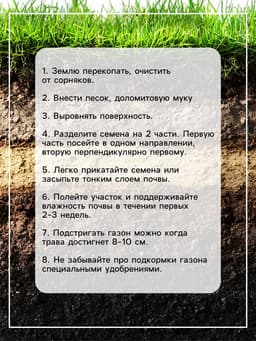 Газонная травосмесь Абсолют Спорт, 10 кг
