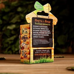 Набор «Пихта и кедр» 2 эфирных масла 100% 15 мл