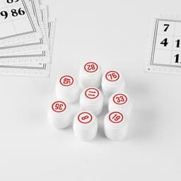 Русское лото Задира-плюс «Классическое», 24 карточки, 90 бочонков, 96 фишек, МИКС