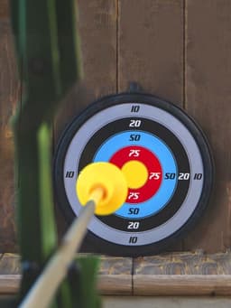 Лук «Меткий стрелок», с мишенью и стрелами на присосках