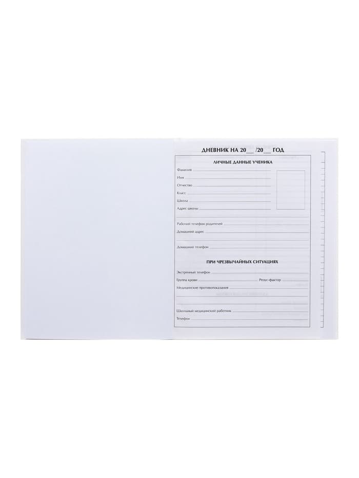 Дневник школьный для 1-11 классов, «Белый», твёрдая обложка 7БЦ, глянцевая ламинация, 40 листов