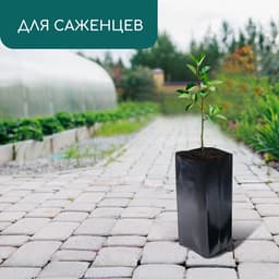 Пакет для рассады, 5 л, 12×35 см, полиэтилен, толщина 100 мкм, с перфорацией, чёрный, Greengo