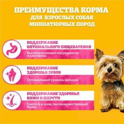 Сухой корм Pedigree для собак мини пород, говядина, 1.2 кг