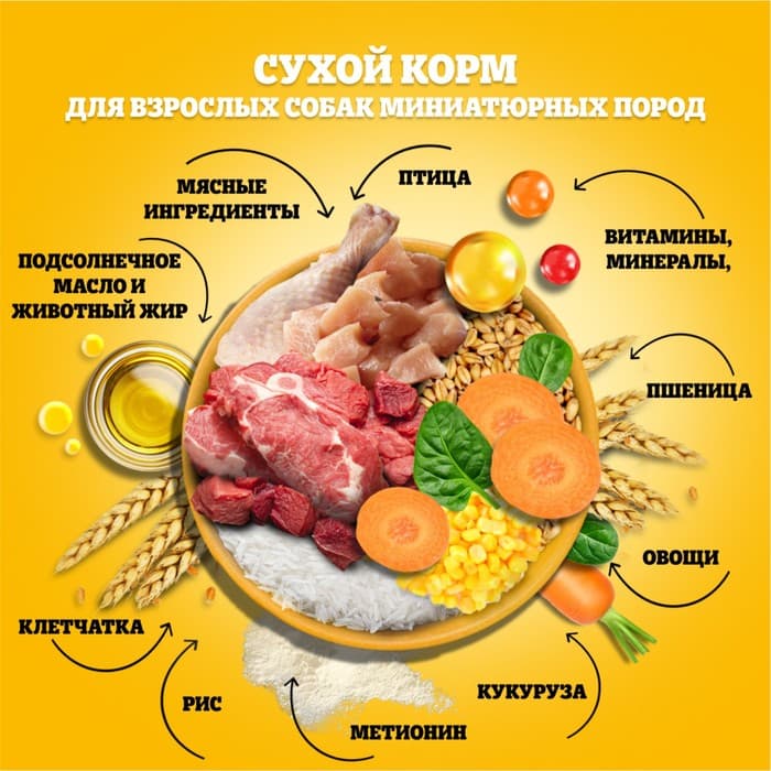 Сухой корм Pedigree для собак мини пород, говядина, 1.2 кг
