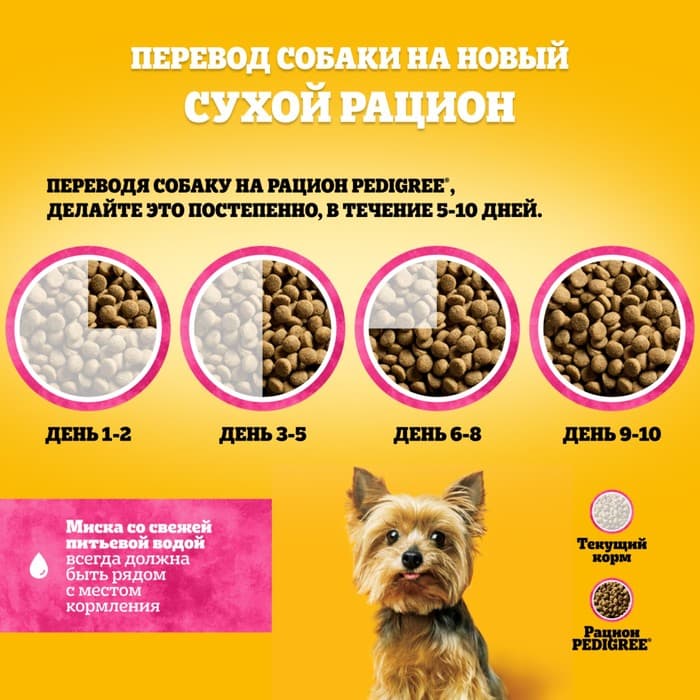 Сухой корм Pedigree для собак мини пород, говядина, 1.2 кг