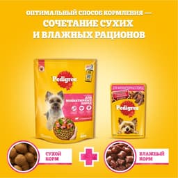 Сухой корм Pedigree для собак мини пород, говядина, 1.2 кг