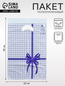 Пакет «Синяя клетка», полиэтиленовый с вырубной ручкой, 22×30 см, 12 мкм
