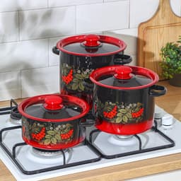 Набор кастрюль эмалированных «Рябинка», 3 предмета: 2 л, 3.5 л, 5.5 л, чёрный, красный