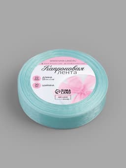 Лента капроновая, 20 мм, 20±1 м, светло-голубая №148