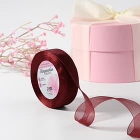 Лента капроновая, 20 мм, 20±1 м, тёмно-красная №48