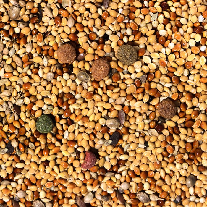 Корм «Верные друзья» для мелких и средних попугаев, 500 г