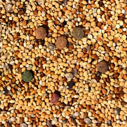 Корм «Верные друзья» для мелких и средних попугаев, 500 г