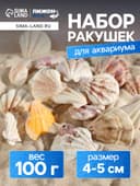 Набор ракушек, 4 - 5 см, 100 г