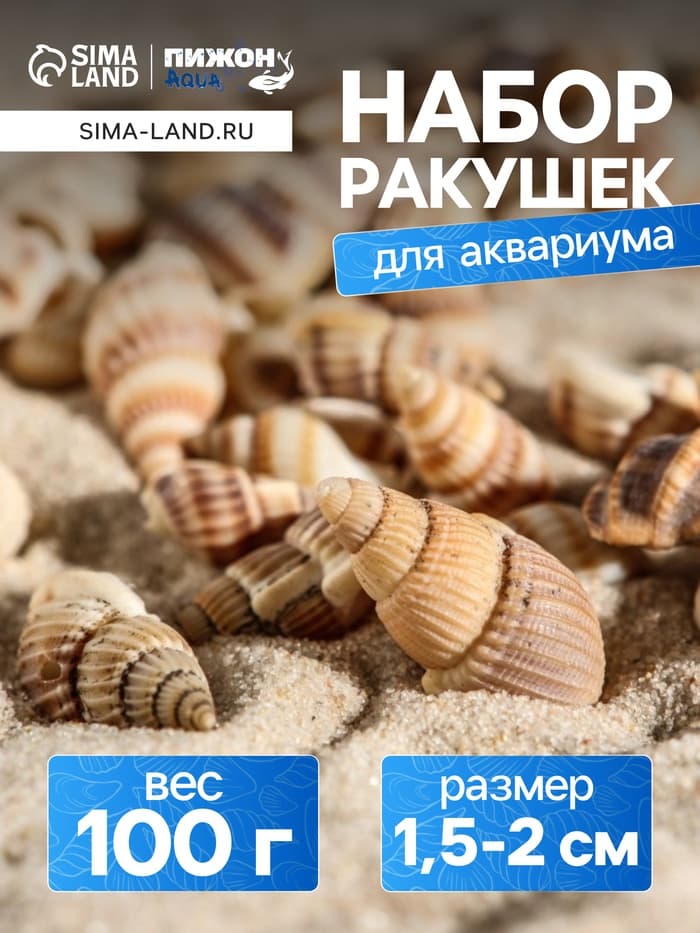 Набор ракушек 100 г