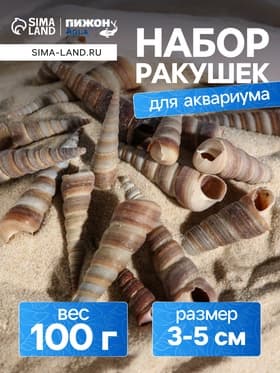 Набор ракушек, 3 - 5 см, 100 г