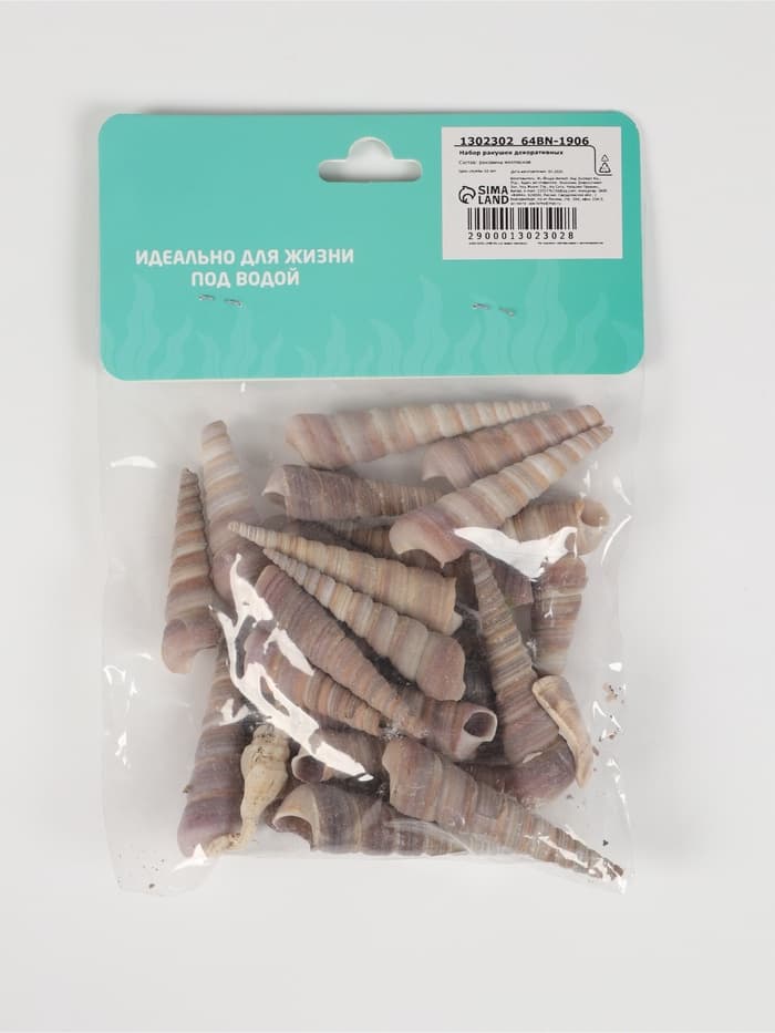Набор ракушек, 3 - 5 см, 100 г
