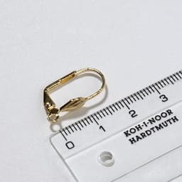 Швензы для сережек с французской застёжкой, 17 мм (набор 5 пар), цвет золото