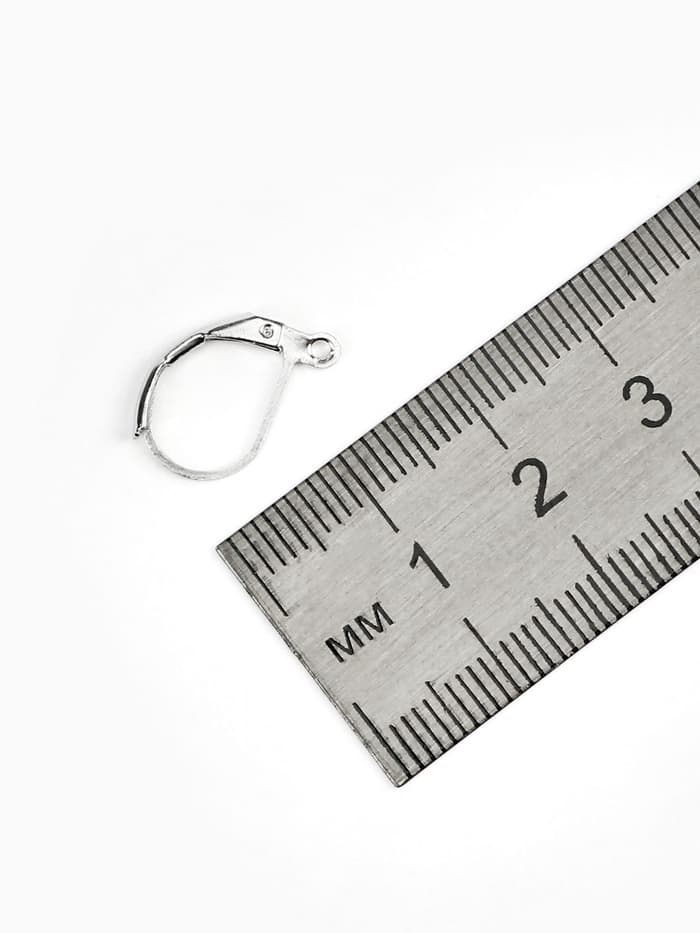 Швензы для сережек с французской застёжкой, 16 мм (набор 5 пар), цвет серебро