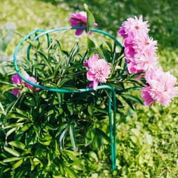 Кустодержатель, d=40 см, h=60 см, ножка d=1 см, металл, набор 2 полудуги, зелёный