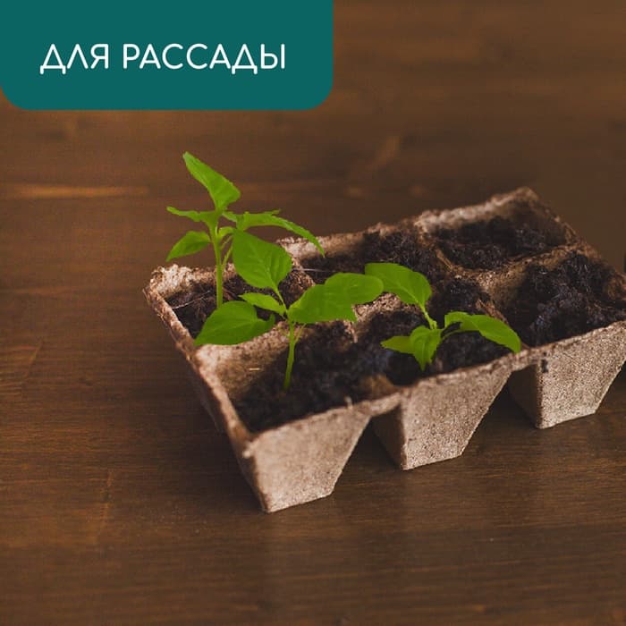 Кассета для рассады, 28×20×9 см, 6 ячеек по 400 мл, торф, 9×9 см