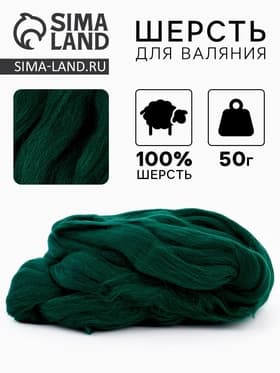 Шерсть для валяния 100% полутонкая шерсть 50 гр (110, зеленый)
