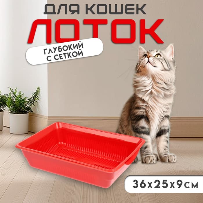 Туалет глубокий с сеткой 36×25×9 см, красный