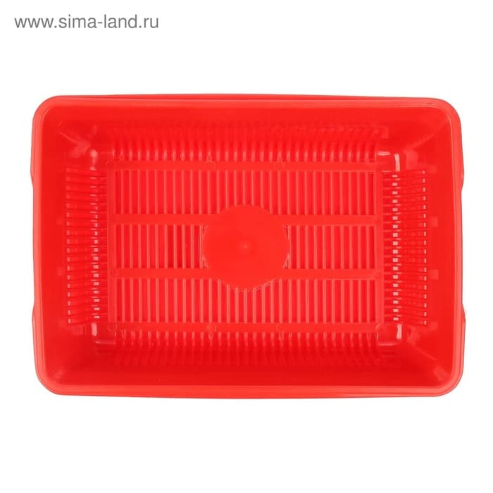 Туалет глубокий с сеткой 36×25×9 см, красный
