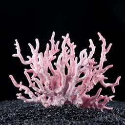 Коралл пластиковый малый 17×6×13 см, розовый