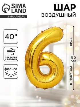 Воздушный шар фольгированный 40" «Цифра 6»