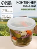 Контейнер пищевой, 250 мл, с герметичной крышкой
