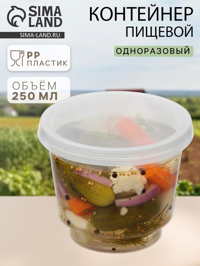 Контейнер пищевой, 250 мл, с герметичной крышкой