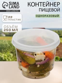 Контейнер пищевой, 250 мл, с герметичной крышкой