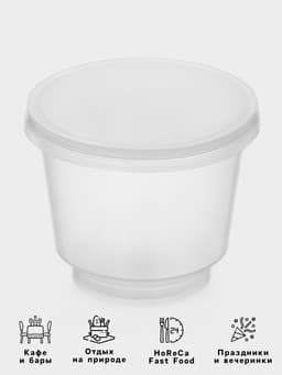 Контейнер пищевой, 250 мл, с герметичной крышкой