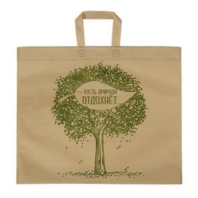 Пакет с петлевой ручкой «Эко», 43.8×52 см, бежевый