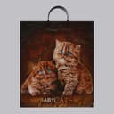 Пакет «Бэбикэтс», полиэтиленовый с пластиковой ручкой, 40×44, 100 мкм