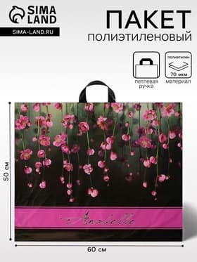 Пакет «Анабель», полиэтиленовый с петлевой ручкой, 60×50 см, 70 мкм