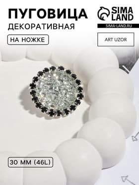 Пуговица декоративная, d=30 мм, цвет серебряный, чёрный