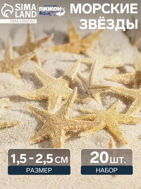 Набор натуральных морских звезд, 1.5 - 2.5 см, 20 шт.
