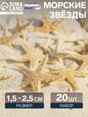Набор натуральных морских звезд, 1.5 - 2.5 см, 20 шт.