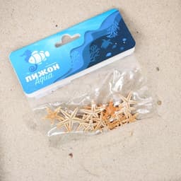 Набор натуральных морских звезд, 1.5 - 2.5 см, 20 шт.