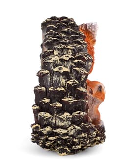 Садовая фигура из полистоуна «Белка в шишке», 25×20×14 см