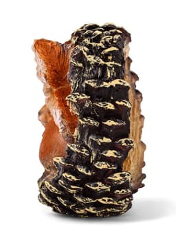 Садовая фигура из полистоуна «Белка в шишке», 25×20×14 см