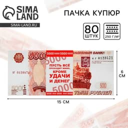 Пачка купюр для выкупа «5000», 80 шт.
