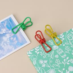 Прищепки для белья Доляна, 5.5×2.9×1.9 см, 10 шт., МИКС