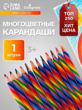 Карандаш Calligrata многоцветный, толстый, заточенный