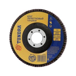 Круг лепестковый торцевой ТУНДРА, 115×22 мм, Р40