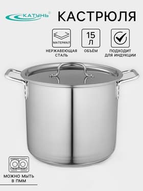 Кастрюля Катунь «Общепит», 15 л, d=30 см, с крышкой, капсульное дно, индукция, нержавеющая сталь, хромированный