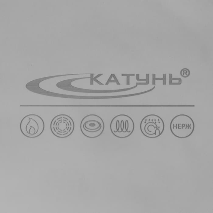 Кастрюля Катунь «Общепит», 15 л, d=30 см, с крышкой, капсульное дно, индукция, нержавеющая сталь, хромированный