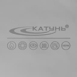 Кастрюля Катунь «Общепит», 15 л, d=30 см, с крышкой, капсульное дно, индукция, нержавеющая сталь, хромированный